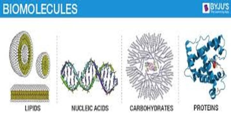 BIOMOLECULES